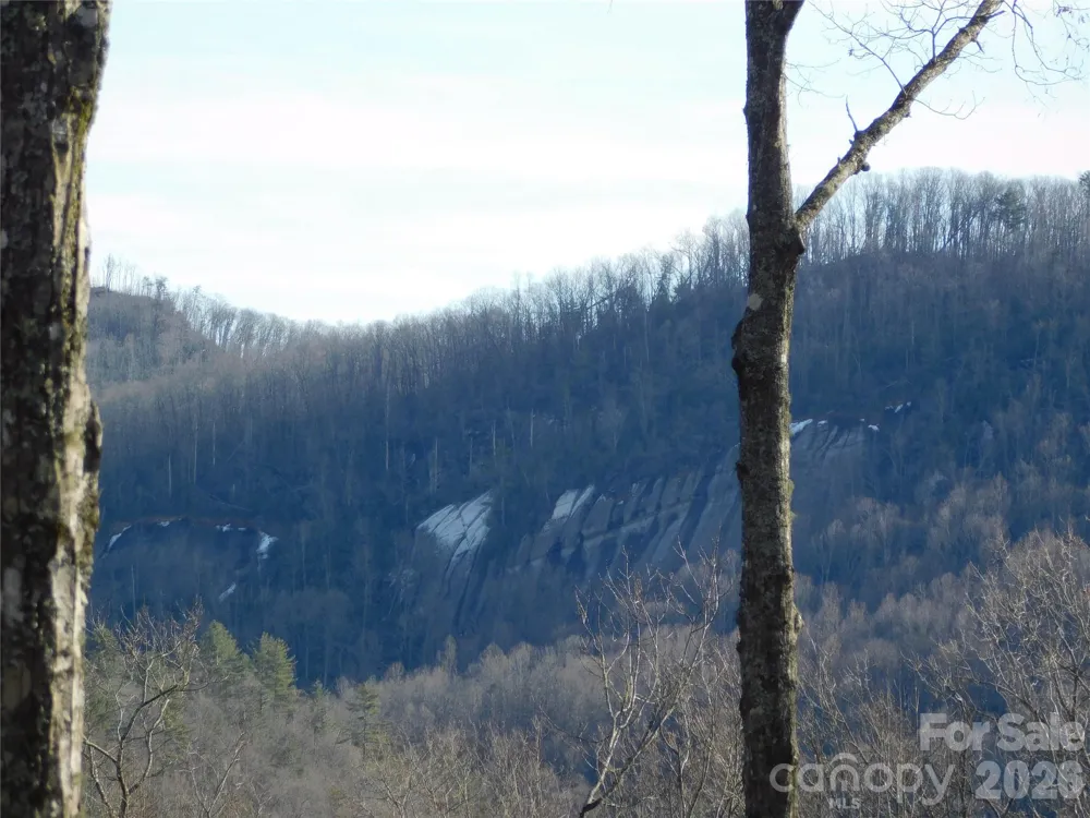 154 Laurel Thicket Drive #98 Brevard, NC 28712