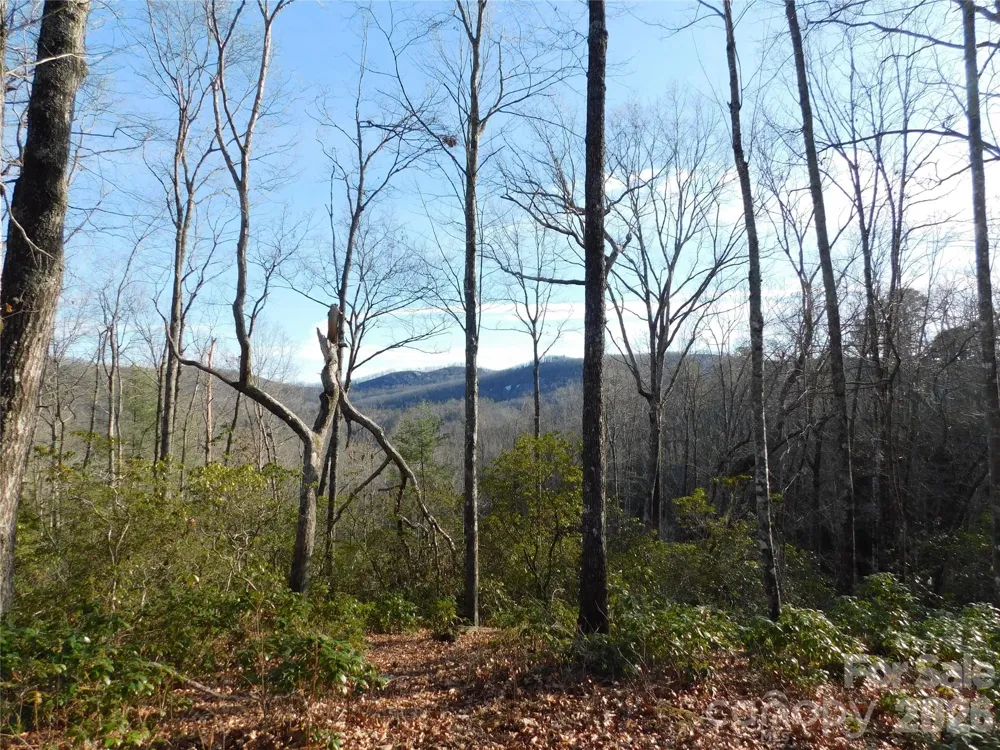 154 Laurel Thicket Drive #98 Brevard, NC 28712