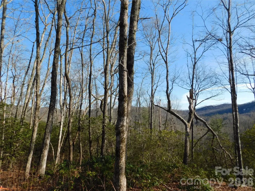 154 Laurel Thicket Drive #98 Brevard, NC 28712