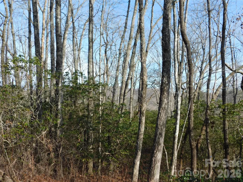 154 Laurel Thicket Drive #98 Brevard, NC 28712