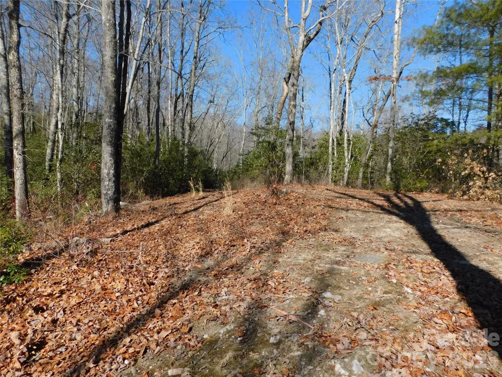 154 Laurel Thicket Drive #98 Brevard, NC 28712