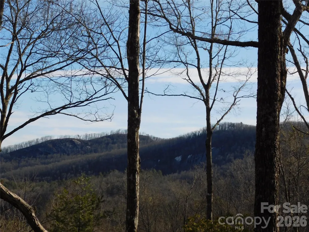 154 Laurel Thicket Drive #98 Brevard, NC 28712