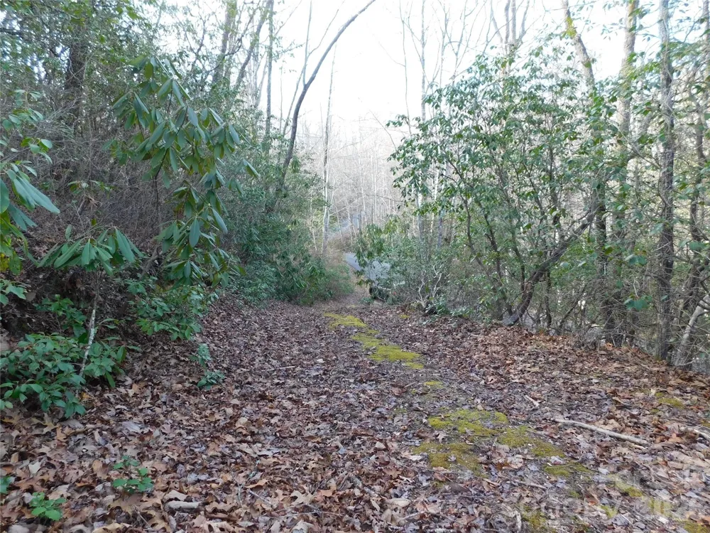 154 Laurel Thicket Drive #98 Brevard, NC 28712