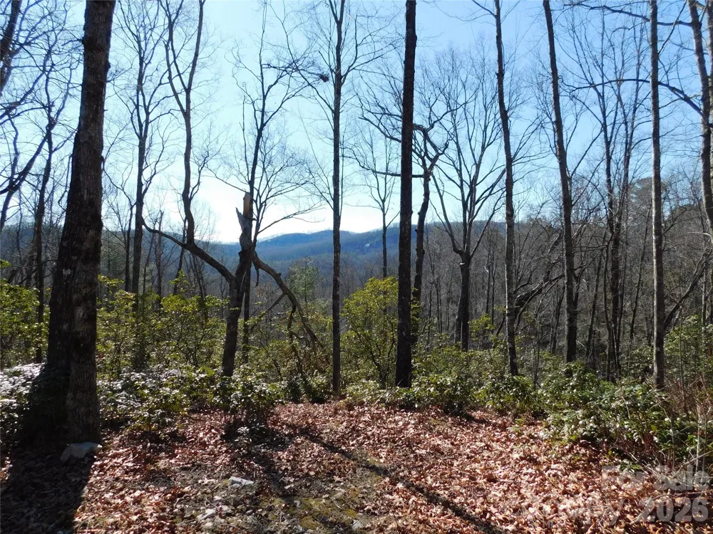154 Laurel Thicket Drive #98 Brevard, NC 28712