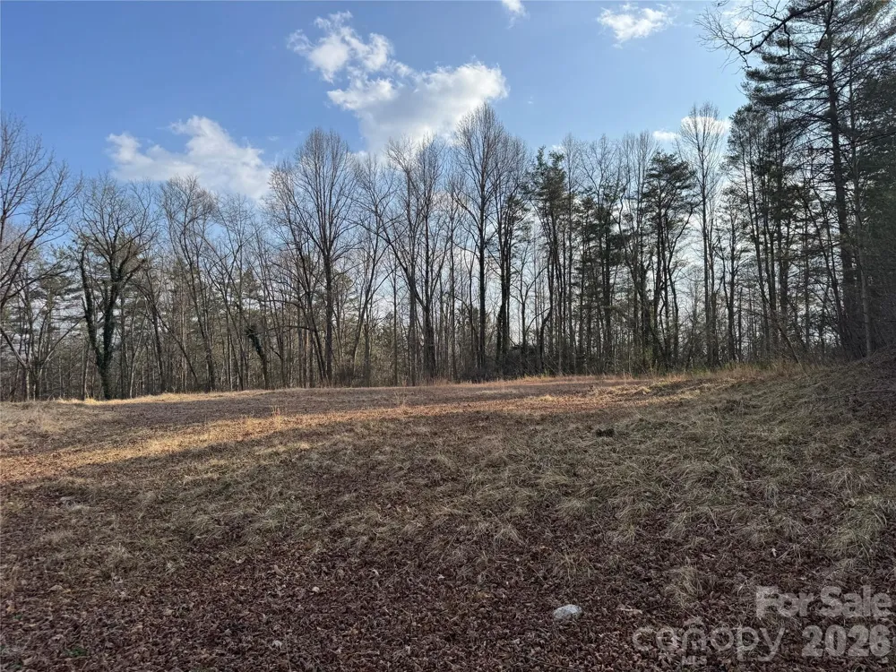 481 Fisher Road Brevard, NC 28712