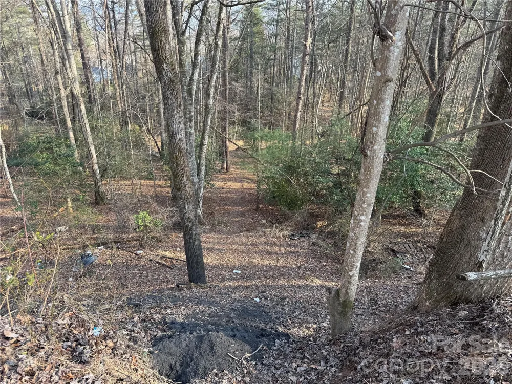 481 Fisher Road Brevard, NC 28712