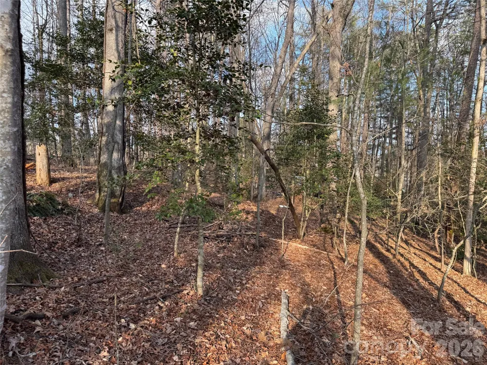 481 Fisher Road Brevard, NC 28712