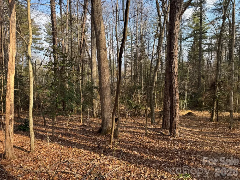 481 Fisher Road Brevard, NC 28712
