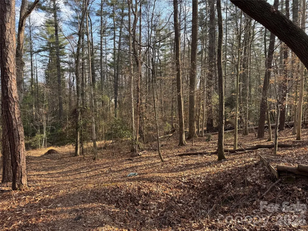 481 Fisher Road Brevard, NC 28712