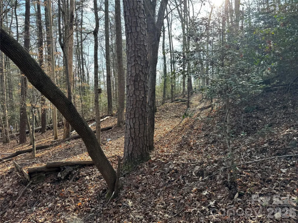 481 Fisher Road Brevard, NC 28712