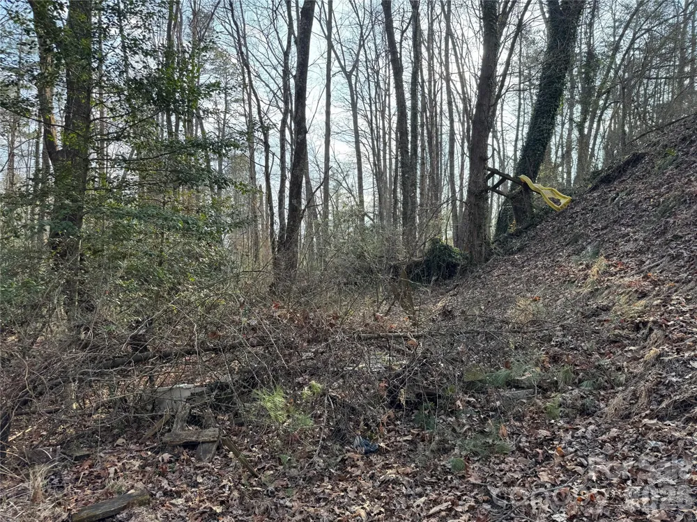 481 Fisher Road Brevard, NC 28712