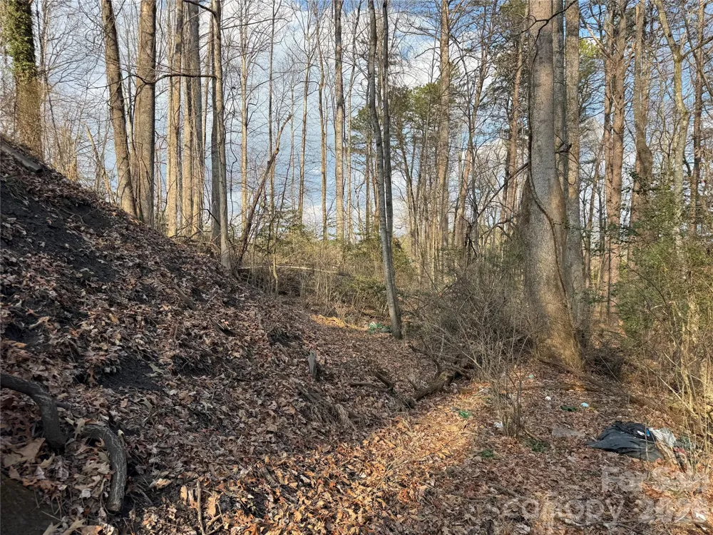 481 Fisher Road Brevard, NC 28712