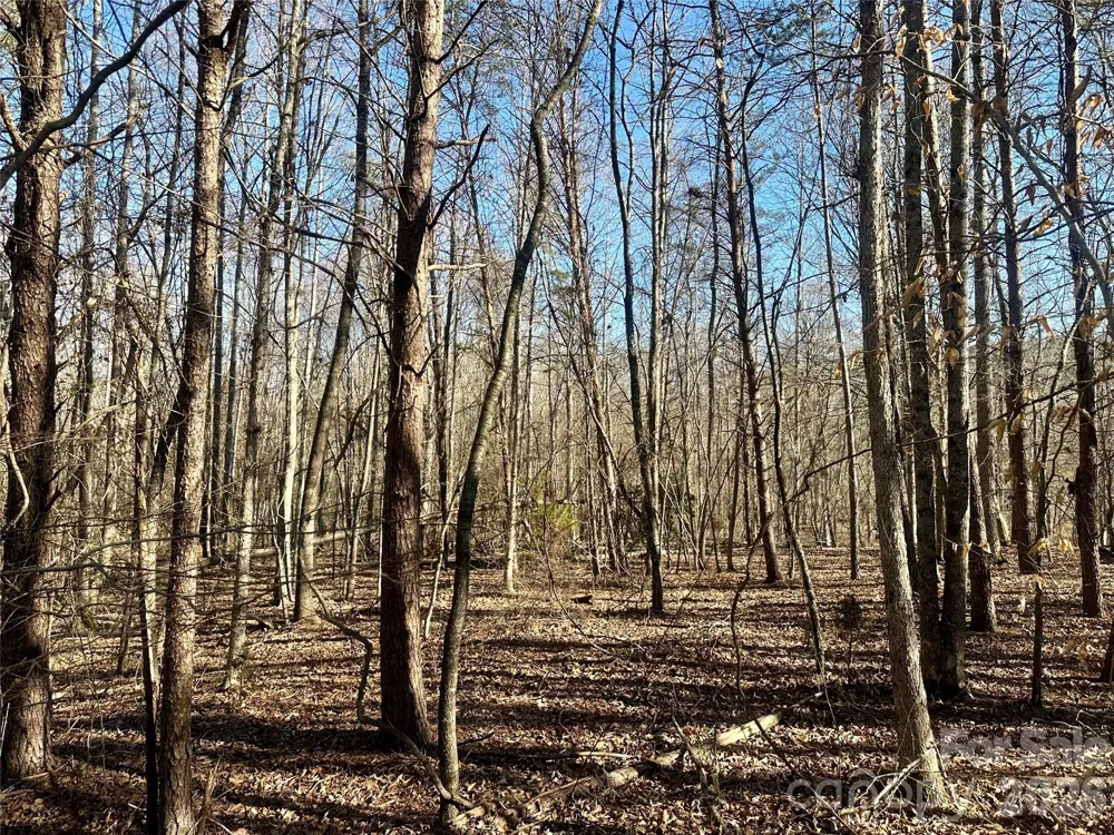 99999 River Crest Parkway Rutherfordton, NC 28139