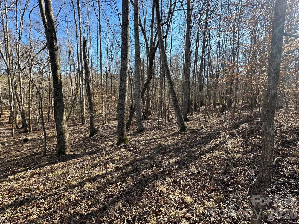 99999 River Crest Parkway Rutherfordton, NC 28139
