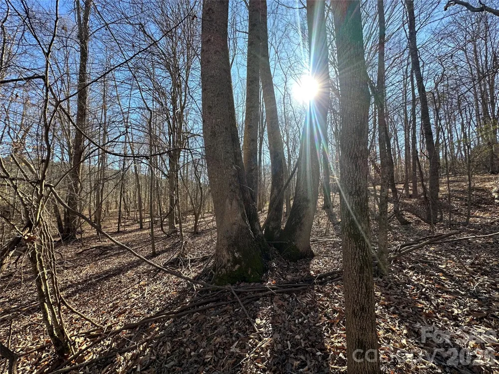 99999 River Crest Parkway Rutherfordton, NC 28139