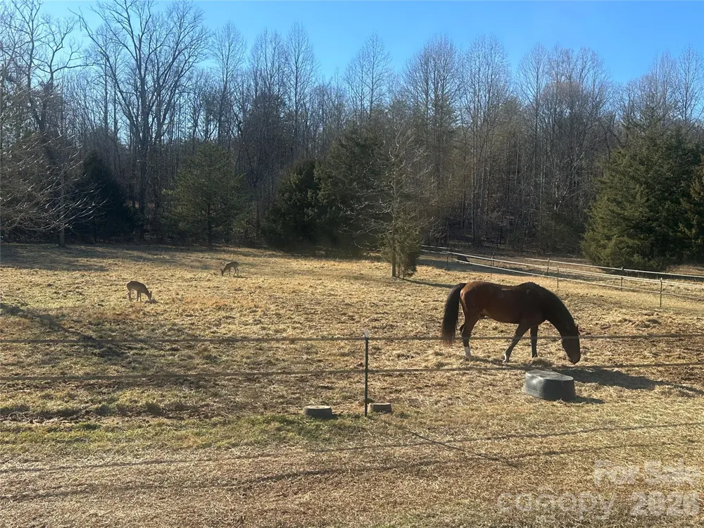 99999 River Crest Parkway Rutherfordton, NC 28139