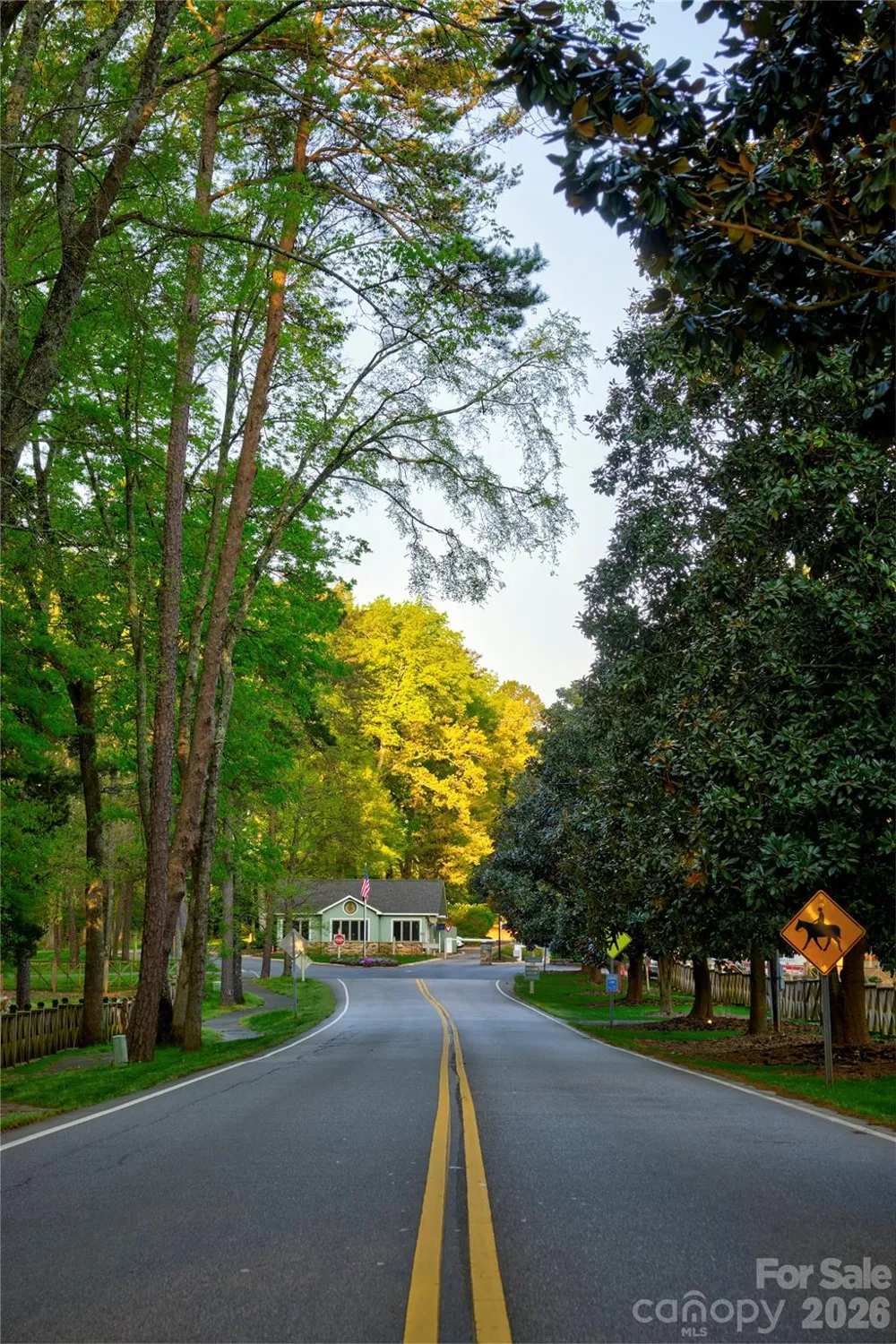 8 Hickory Ridge Court Lake Wylie, SC 29710