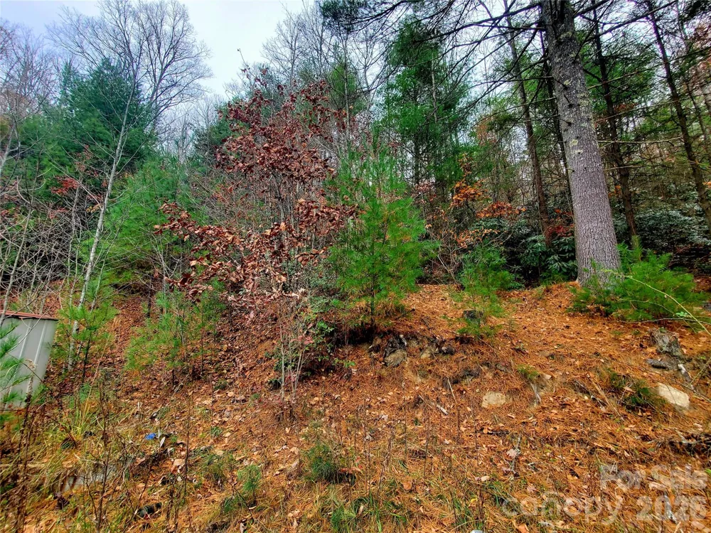 2701 Gouges Creek Road Spruce Pine, NC 28777