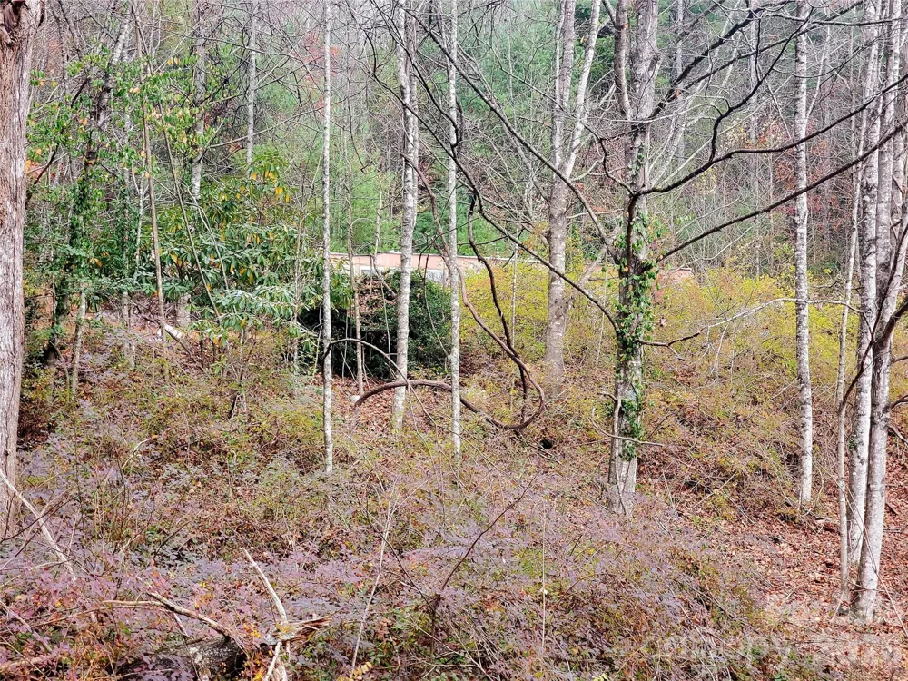 2701 Gouges Creek Road Spruce Pine, NC 28777