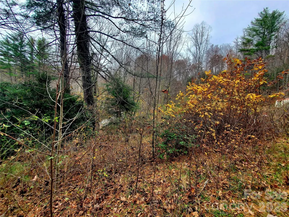 2701 Gouges Creek Road Spruce Pine, NC 28777