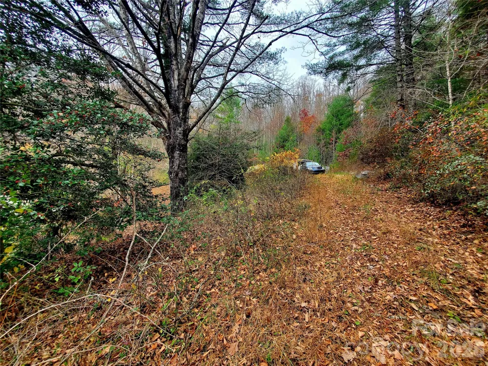 2701 Gouges Creek Road Spruce Pine, NC 28777
