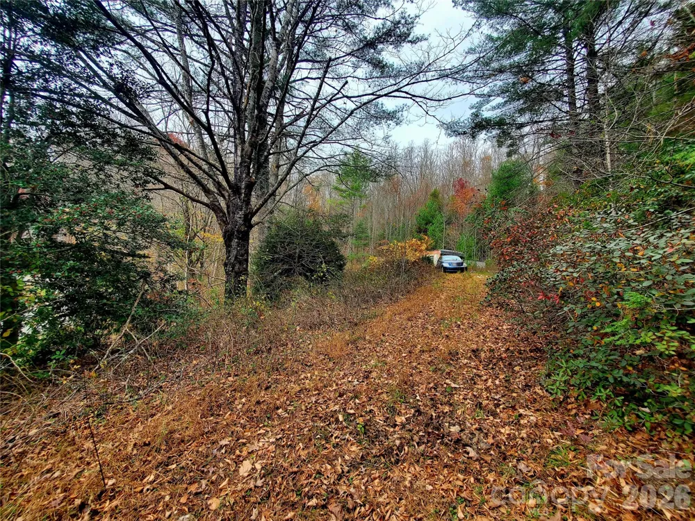 2701 Gouges Creek Road Spruce Pine, NC 28777