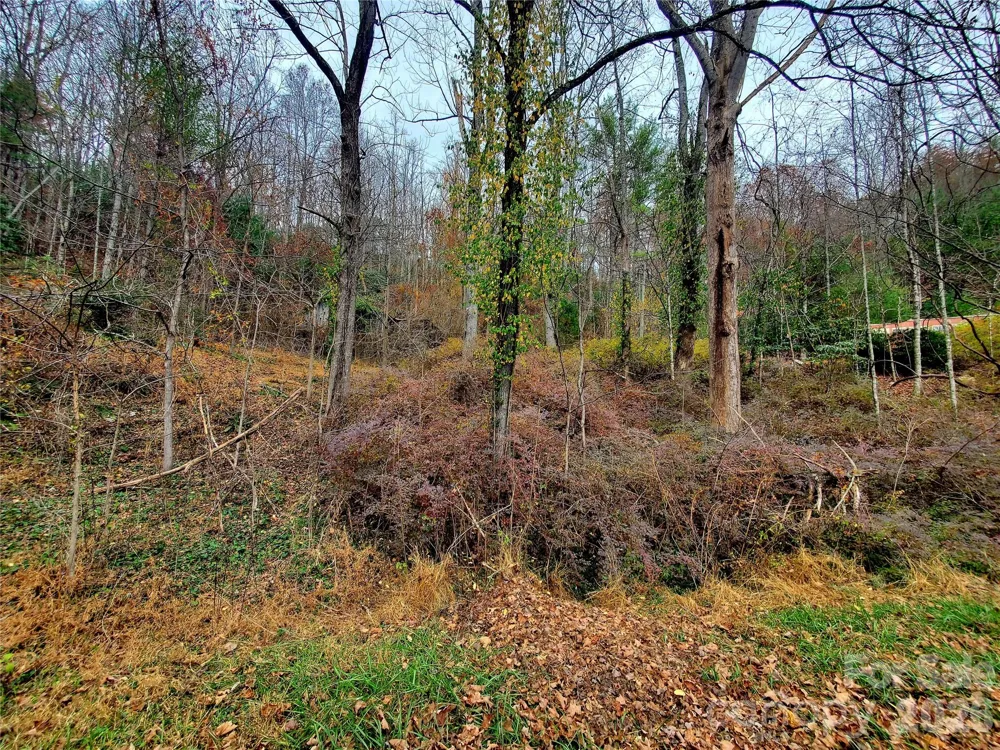 2701 Gouges Creek Road Spruce Pine, NC 28777