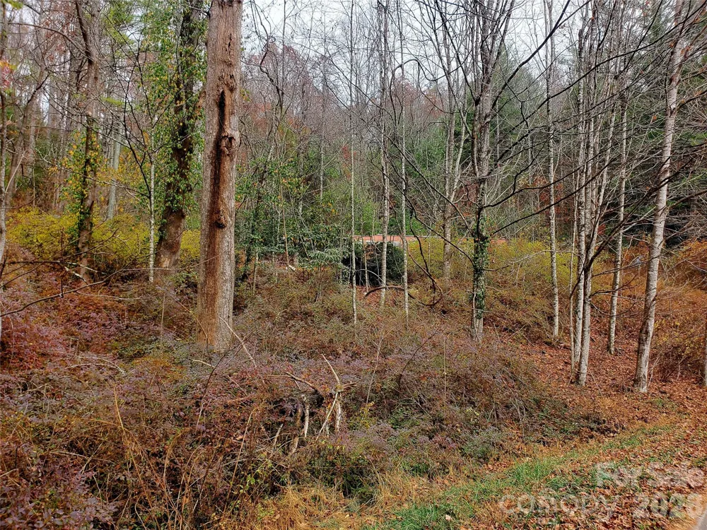 2701 Gouges Creek Road Spruce Pine, NC 28777