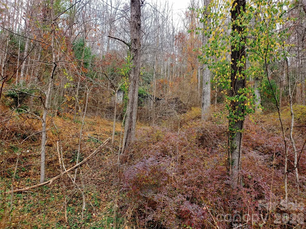 2701 Gouges Creek Road Spruce Pine, NC 28777