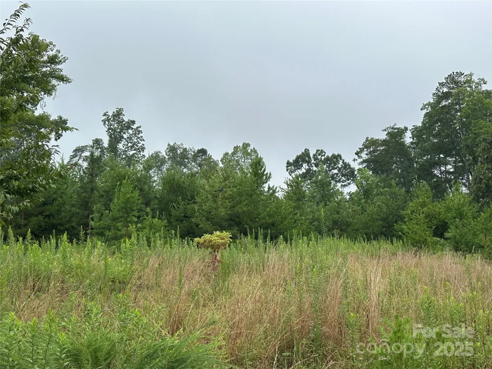 Lot 1 Celestial Drive Nebo, NC 28761
