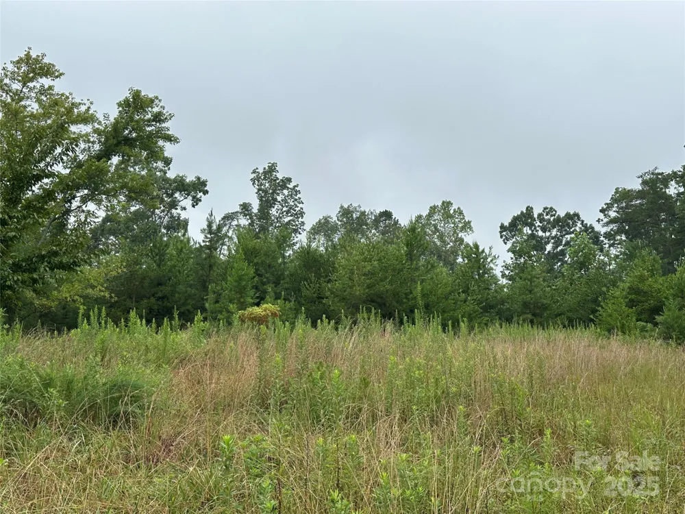 Lot 1 Celestial Drive Nebo, NC 28761