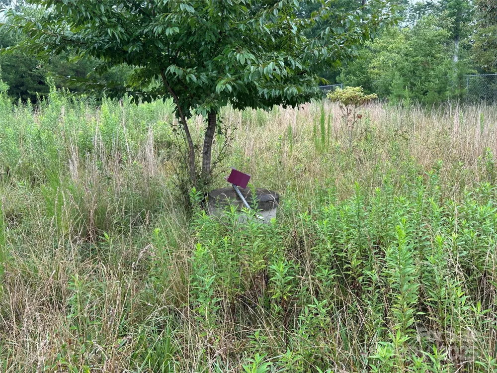 Lot 1 Celestial Drive Nebo, NC 28761