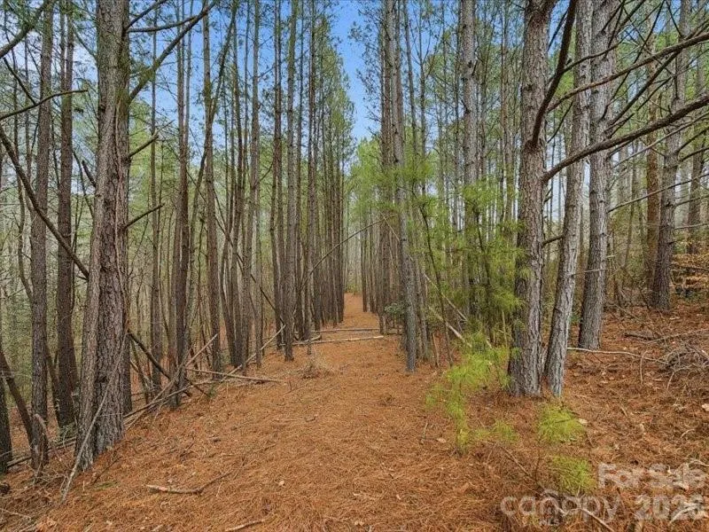 108 Rivercliff Drive W Connelly Springs, NC 28612