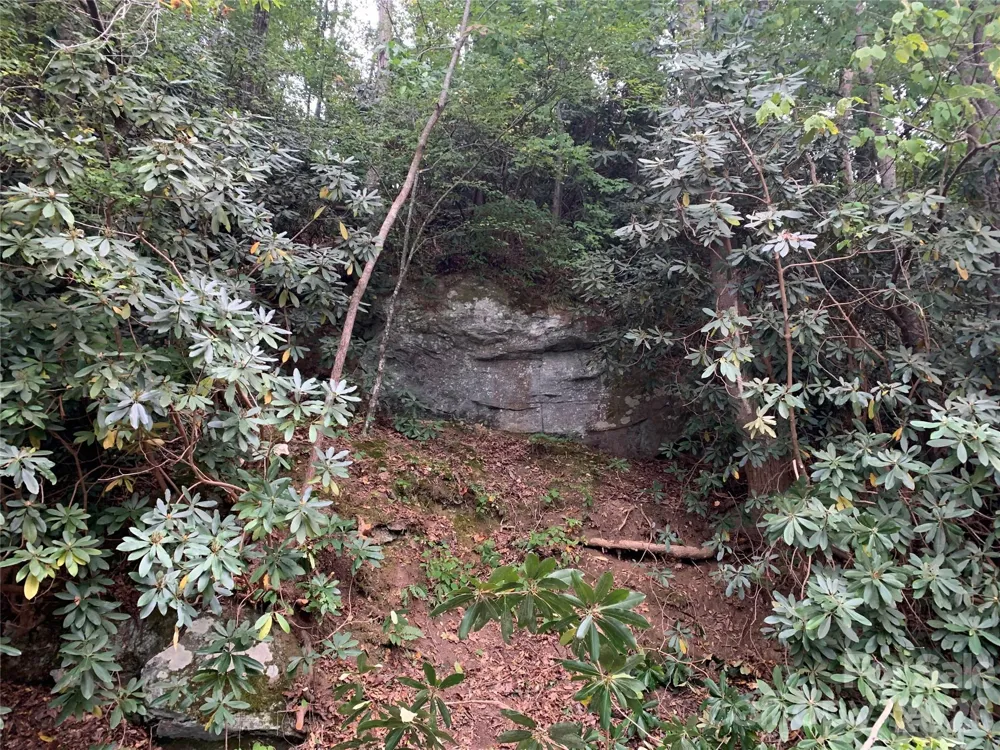 1800 Hilferty Road Hickory, NC 28601