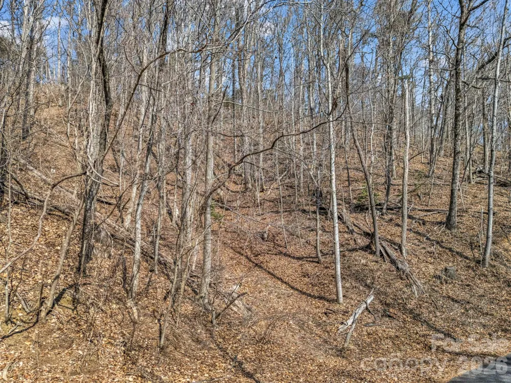 Lot #19 Hemlock Trail #19 Columbus, NC 28722
