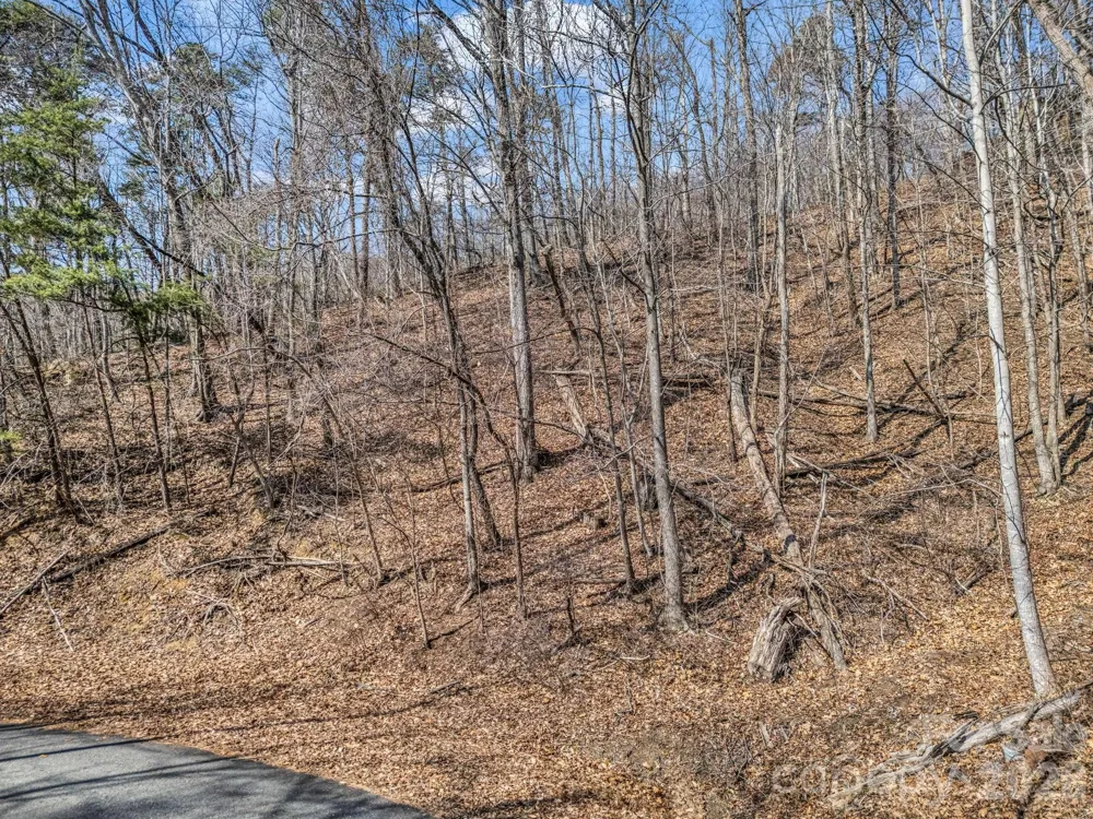 Lot #19 Hemlock Trail #19 Columbus, NC 28722