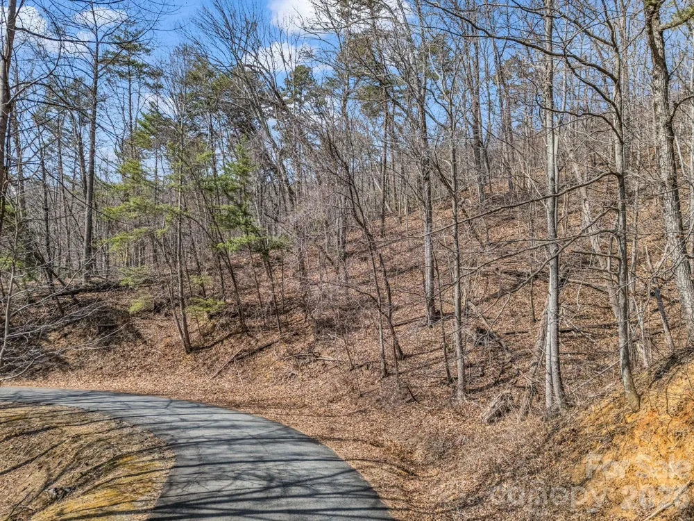 Lot #19 Hemlock Trail #19 Columbus, NC 28722