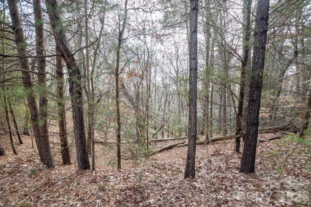 4012 Beechwood Spring Lane Belmont, NC 28012