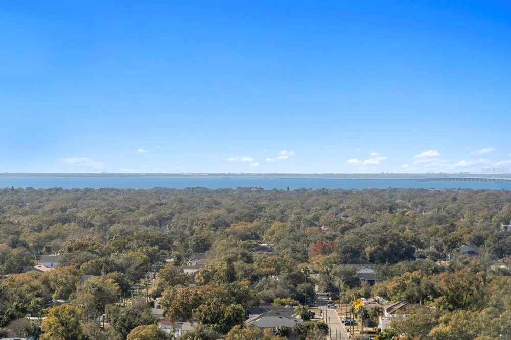 3101 BAYSHORE BOULEVARD #1804 Tampa, FL 33629