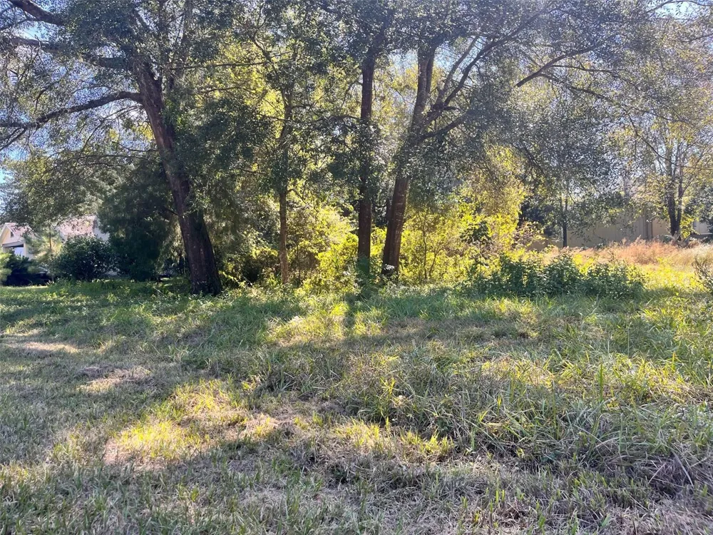 0000 SW 134TH AVENUE Archer, FL 32618