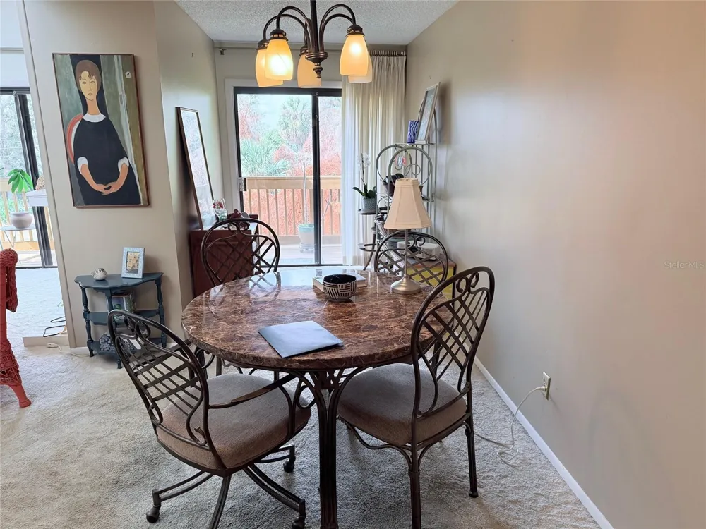 1051 S HIGHLAND STREET #3D Mount Dora, FL 32757