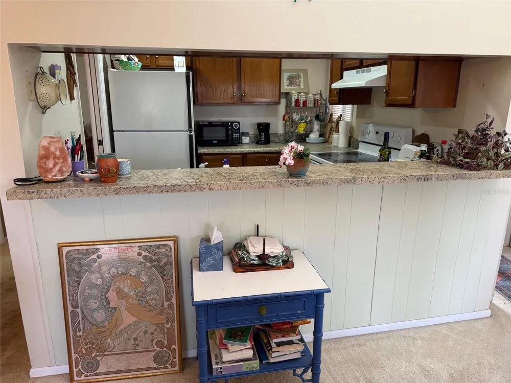 1051 S HIGHLAND STREET #3D Mount Dora, FL 32757
