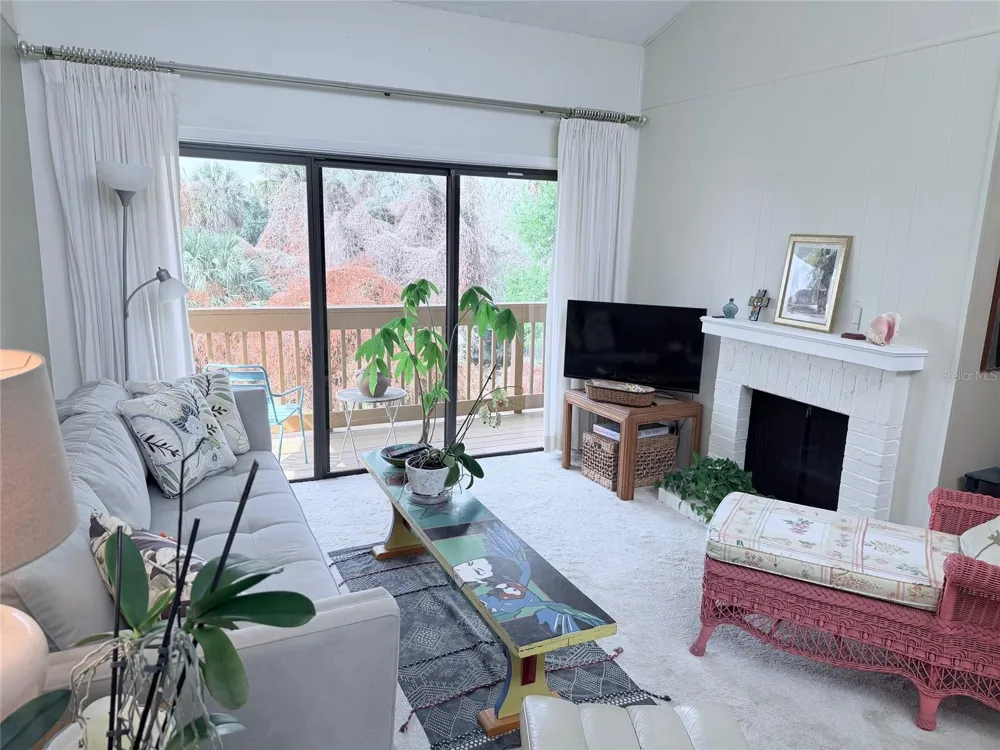 1051 S HIGHLAND STREET #3D Mount Dora, FL 32757