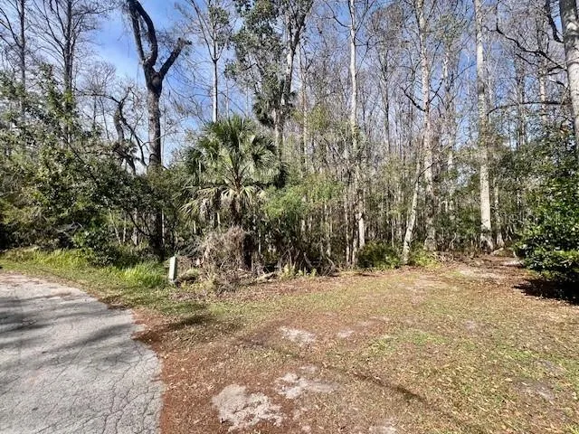 0 SOUTHWOOD COURT New Port Richey, FL 34654