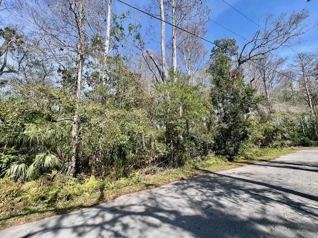 0 SOUTHWOOD COURT New Port Richey, FL 34654