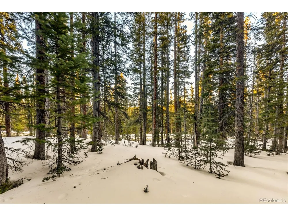 343 Sunshine Drive Fairplay, CO 80440