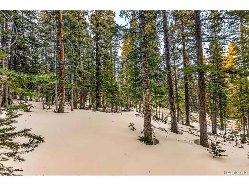 343 Sunshine Drive Fairplay, CO 80440