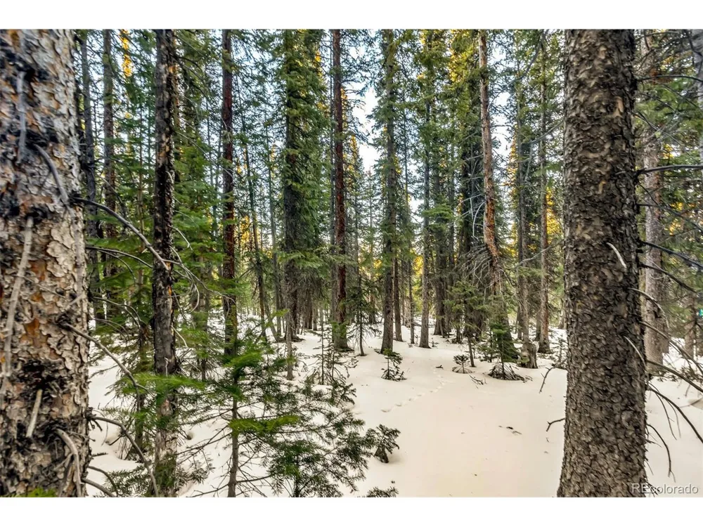 343 Sunshine Drive Fairplay, CO 80440