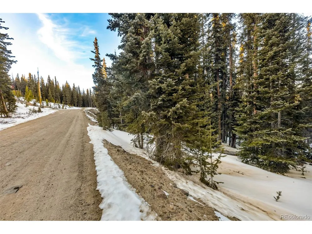 343 Sunshine Drive Fairplay, CO 80440