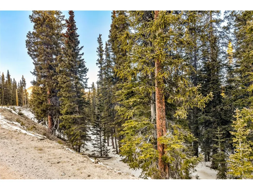 343 Sunshine Drive Fairplay, CO 80440